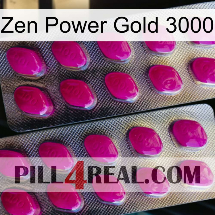 Zen Power Gold 3000 10